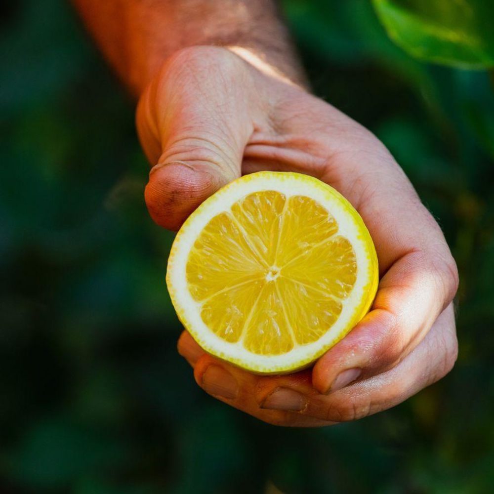 Farmer with lemon in hand