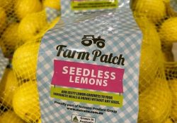Farm Patch Lemons 2